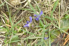 p1240742