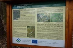 p1240758