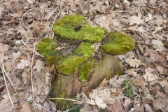 p1240773