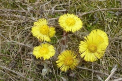 p1240875