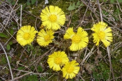 p1240876