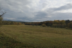 IMG_20171021_153423